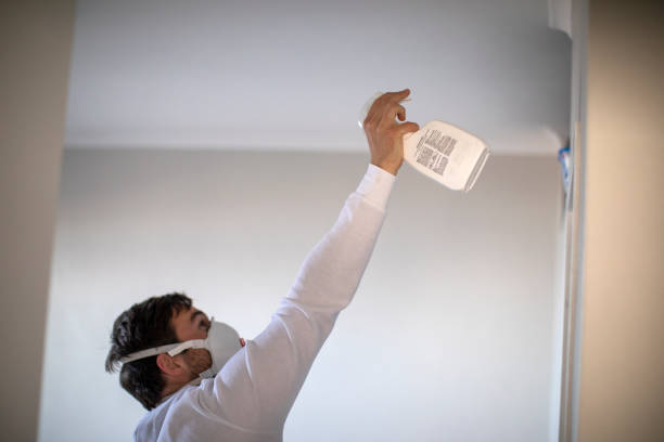 Best Mold Cleaning Services  in Pittsboro, IN