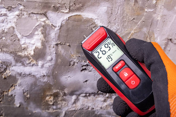 Best Professional Mold Removal  in Pittsboro, IN