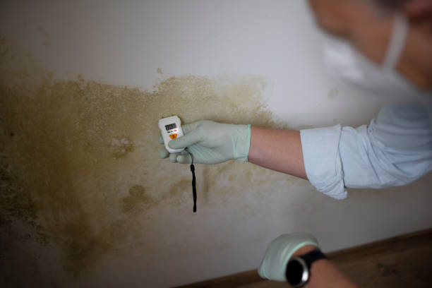 Crawl Space Mold Removal in Pittsboro, IN